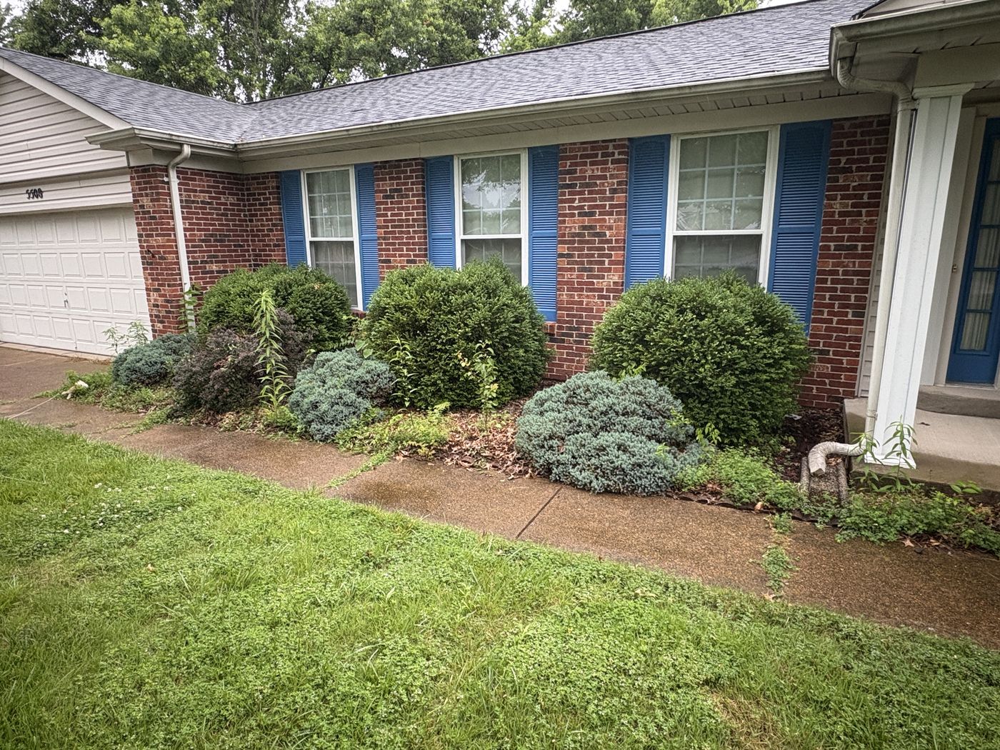 Driveway and walkway before professional cleaning, Jefferson County Missouri