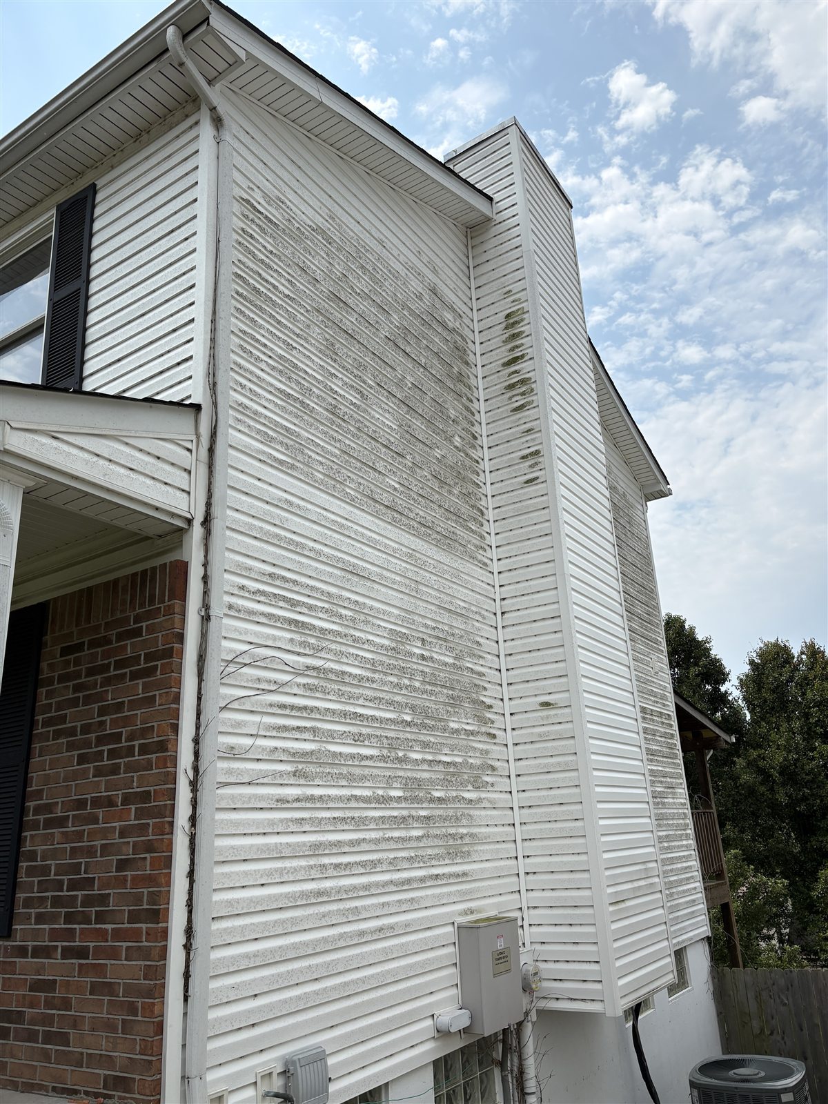 Two-story vinyl siding before soft washing, with heavy algae and organic staining